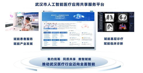数智赋能 健康先行 武汉构建智慧高效医疗服务新格局