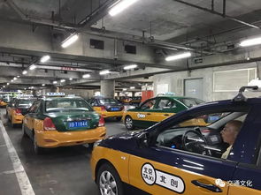 别忽视巡游出租汽车的作用与司机诉求 招生辅助服务的潜在合作价值